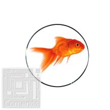 RED FISH Orange Lefolyó dekor